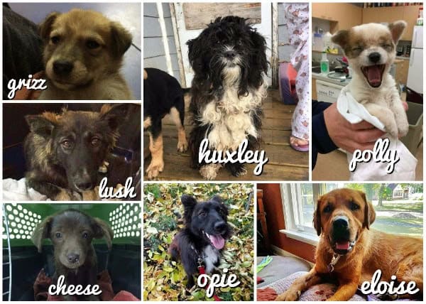 Project aurora intake