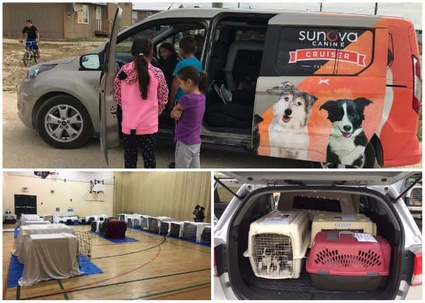 Project aurora community