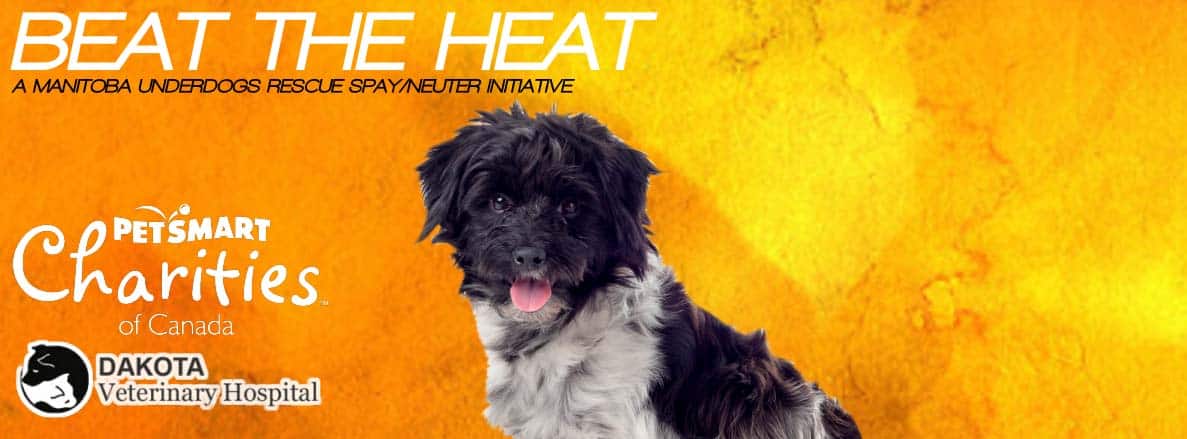 Featured image for “Beat the Heat – Sagkeeng First Nation”