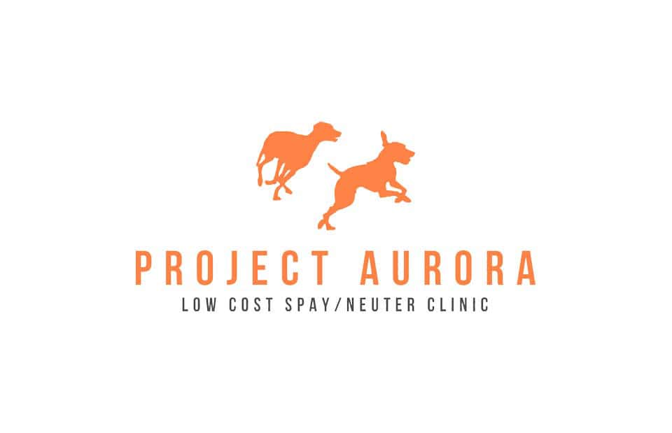 Featured image for “Project Aurora Success”