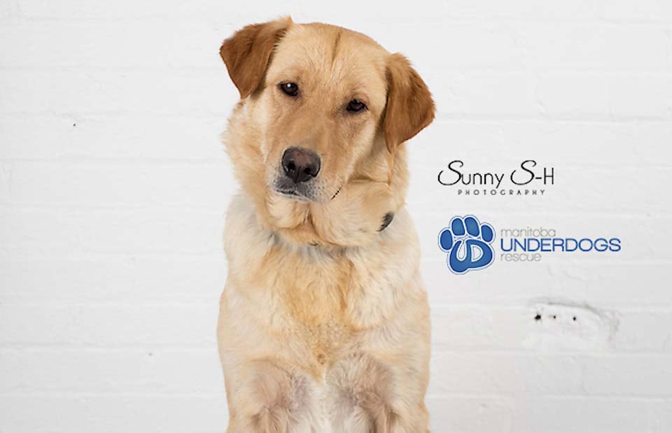 Featured image for “Sunshine’s Story”