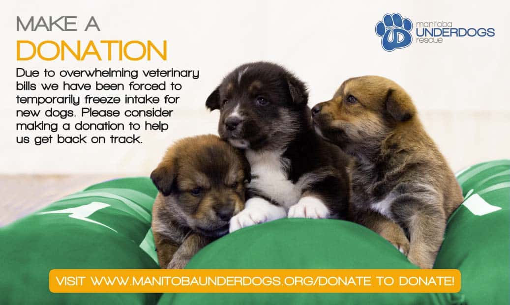 Featured image for “FORCED INTAKE FREEZE”