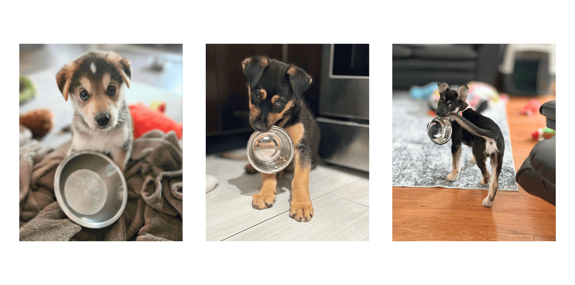 Featured image for “Kibble Drive”