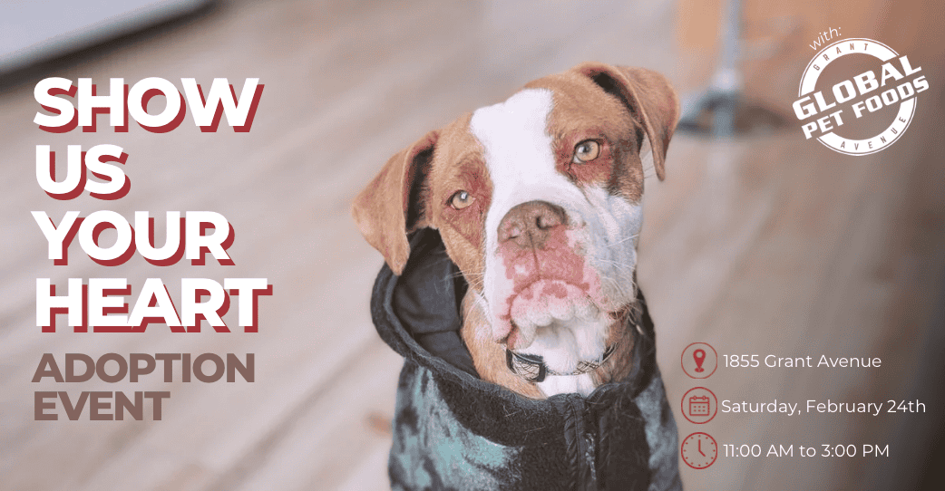 Show Us Your Heart Adoption Event