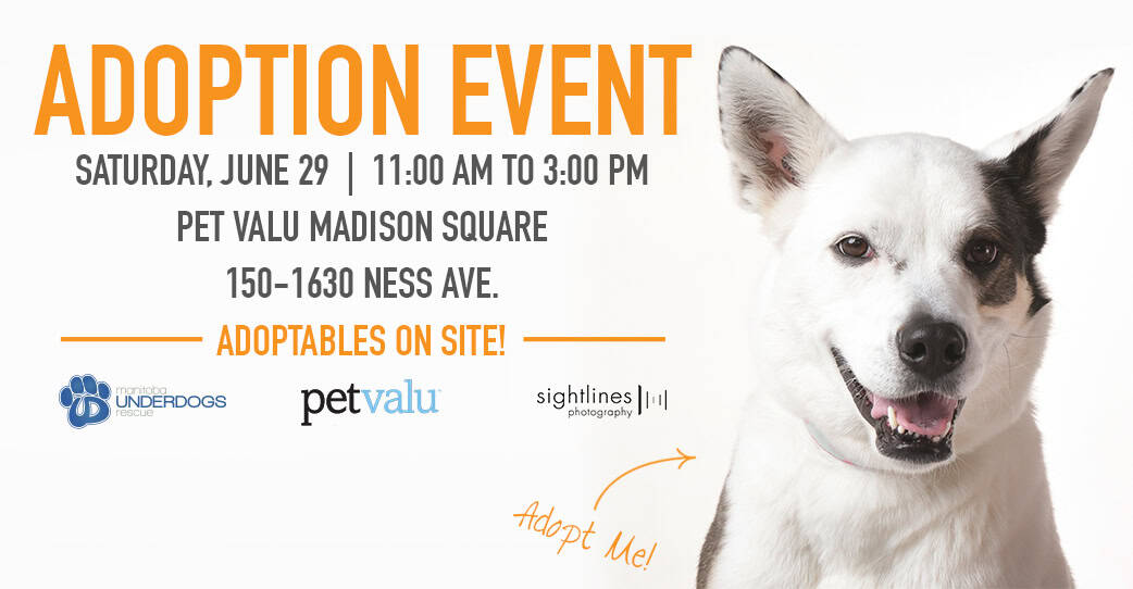 Adoption Event - Pet Valu Madison Square