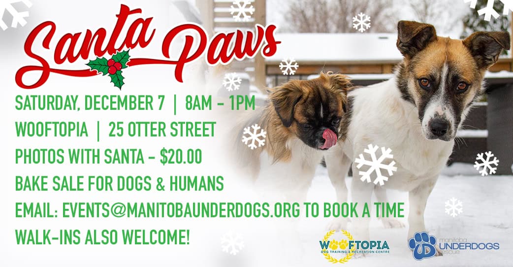 Santa Paws Pet Photos