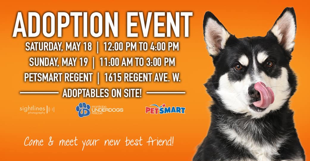 Adoption Event - PetSmart Regent