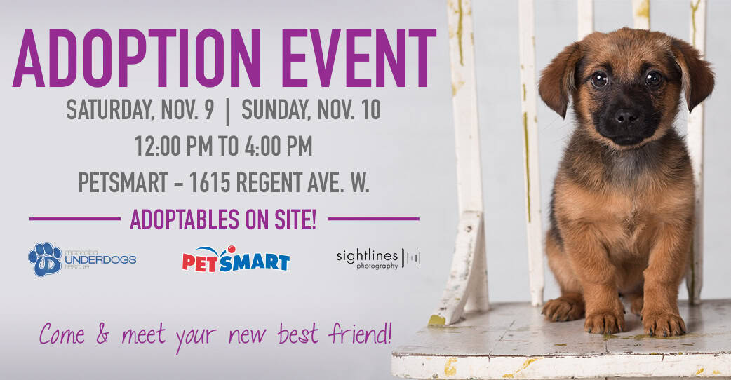Adoption Event - PetSmart Regent