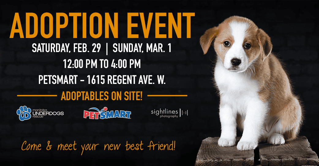 Adoption Event - PetSmart Regent