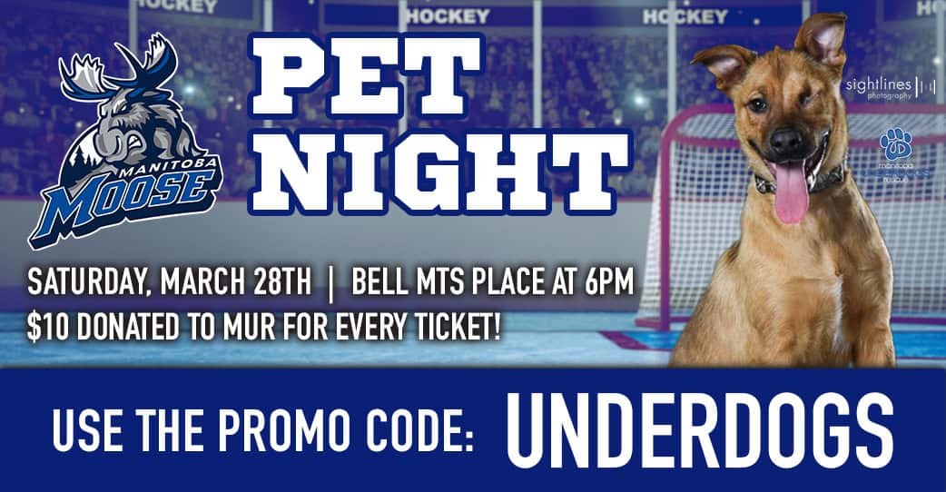 Manitoba Moose Pet Night