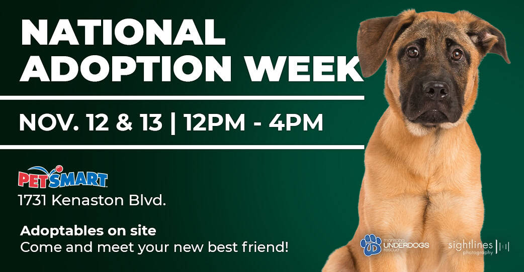PetSmart’s National Adoption Weekend