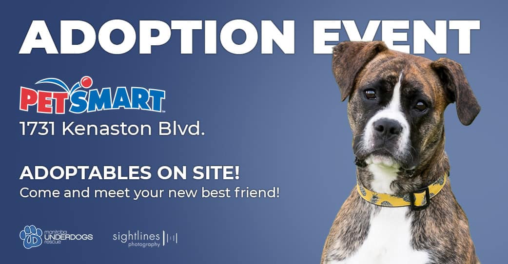 Adoption Event