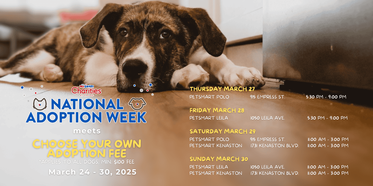 PetSmart's National Adoption Week + Choose Your Own Adoption Fee
