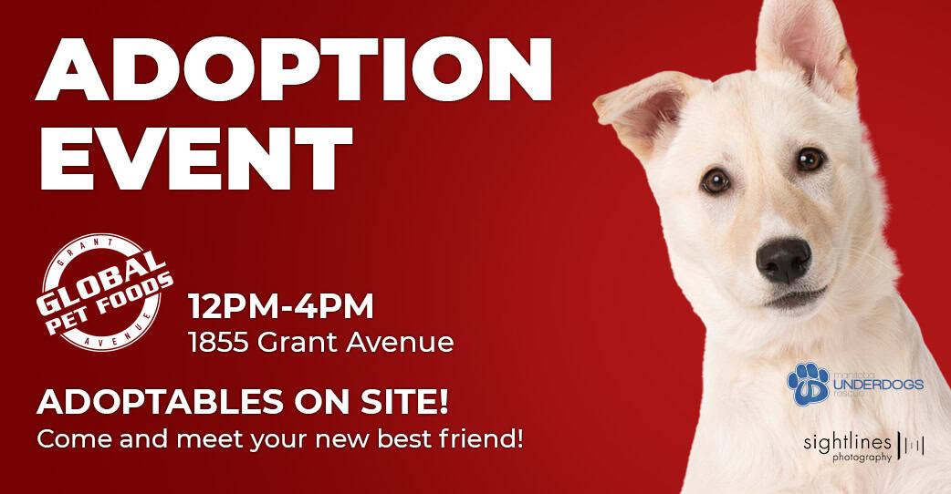 Adoption Event