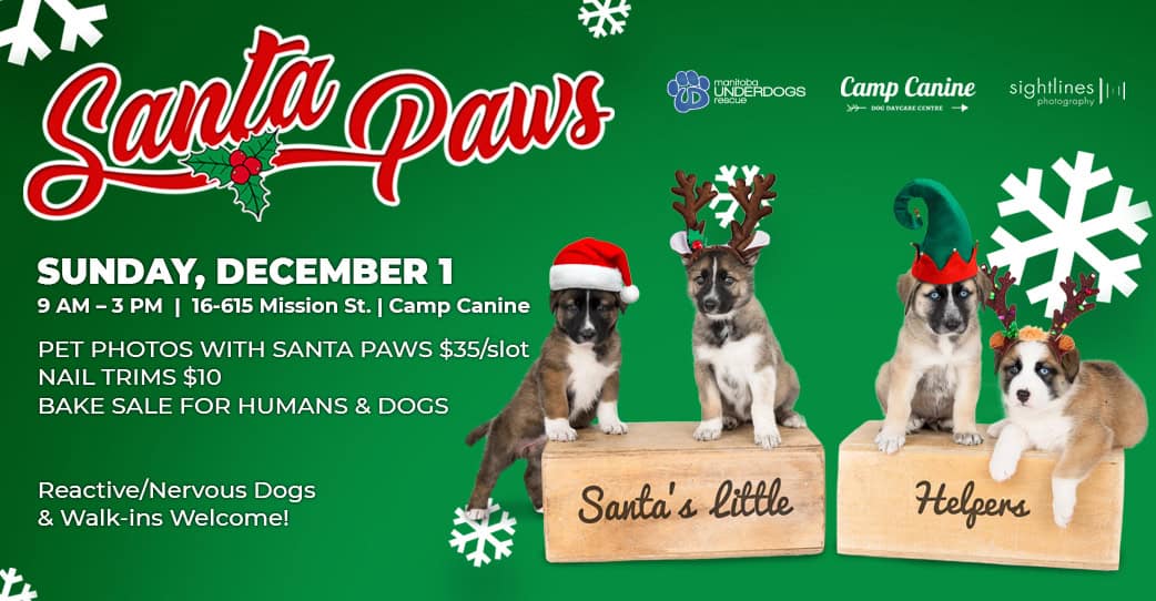 Santa Paws Pet Photos
