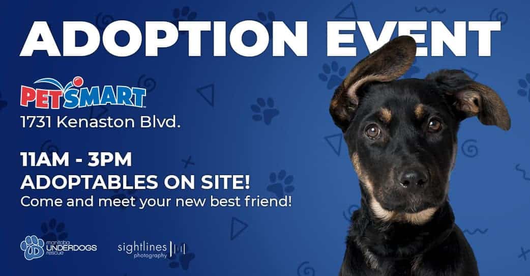 Adoption Event