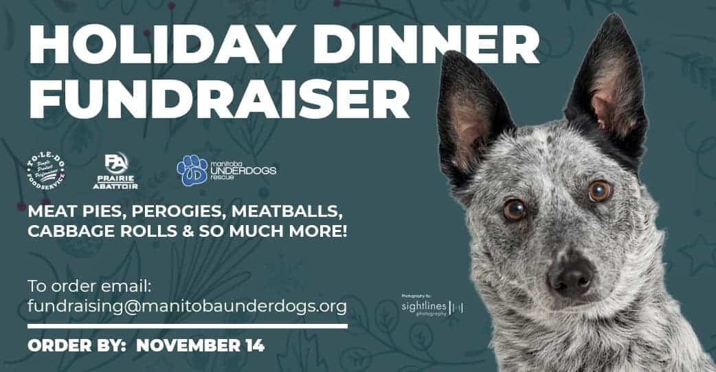 Holiday Dinner Fundraiser