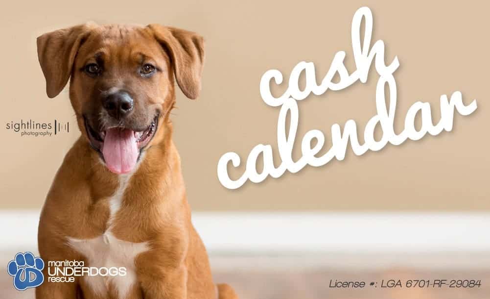 Cash Calendars