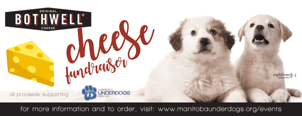 Bothwell Cheese Fundraiser