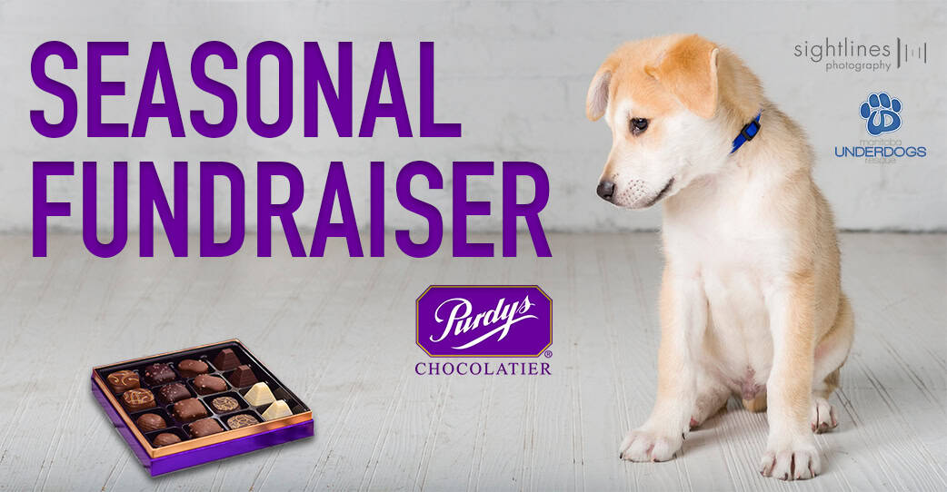 Purdys Chocolate Fundraiser
