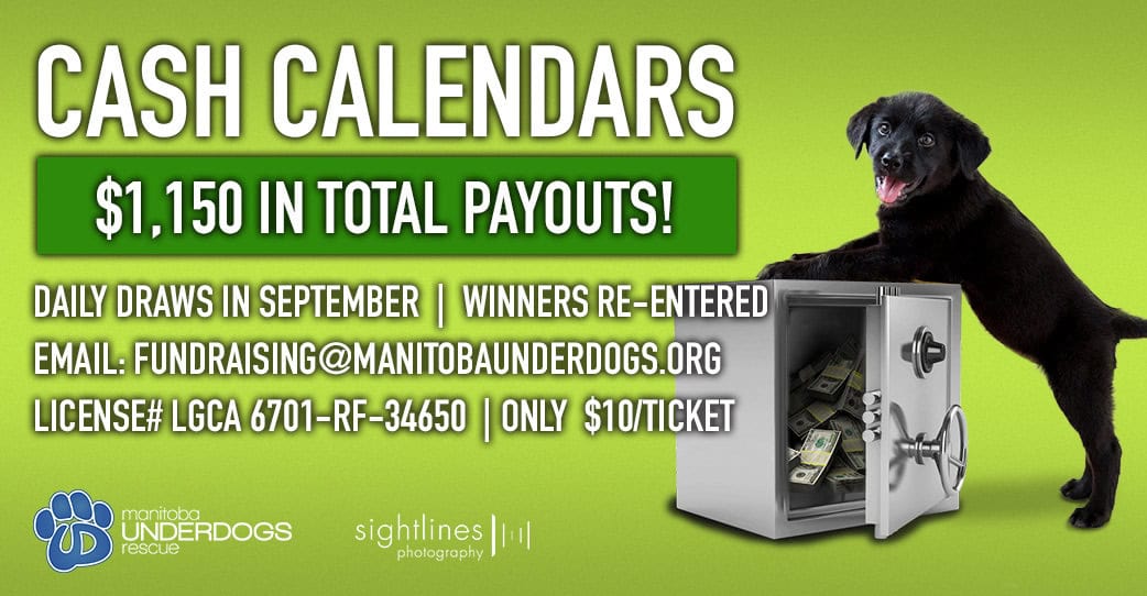 Summer Cash Calendar