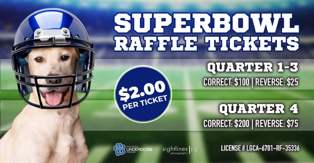 Super Bowl Raffle Tickets