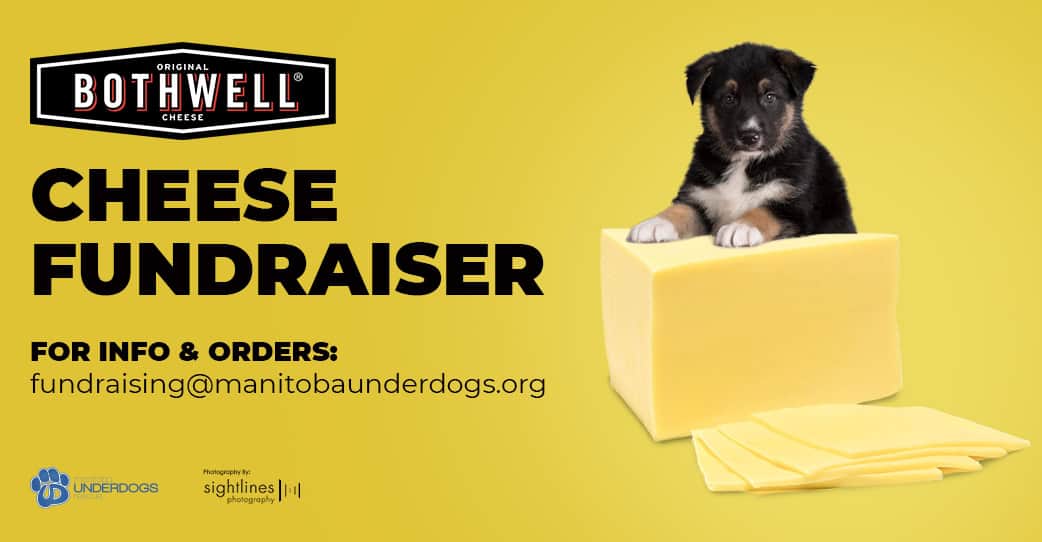 Bothwell Cheese Fundraiser
