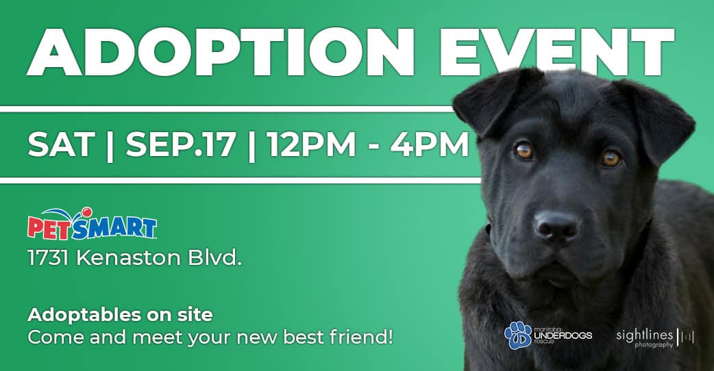 PetSmart Adoption Event
