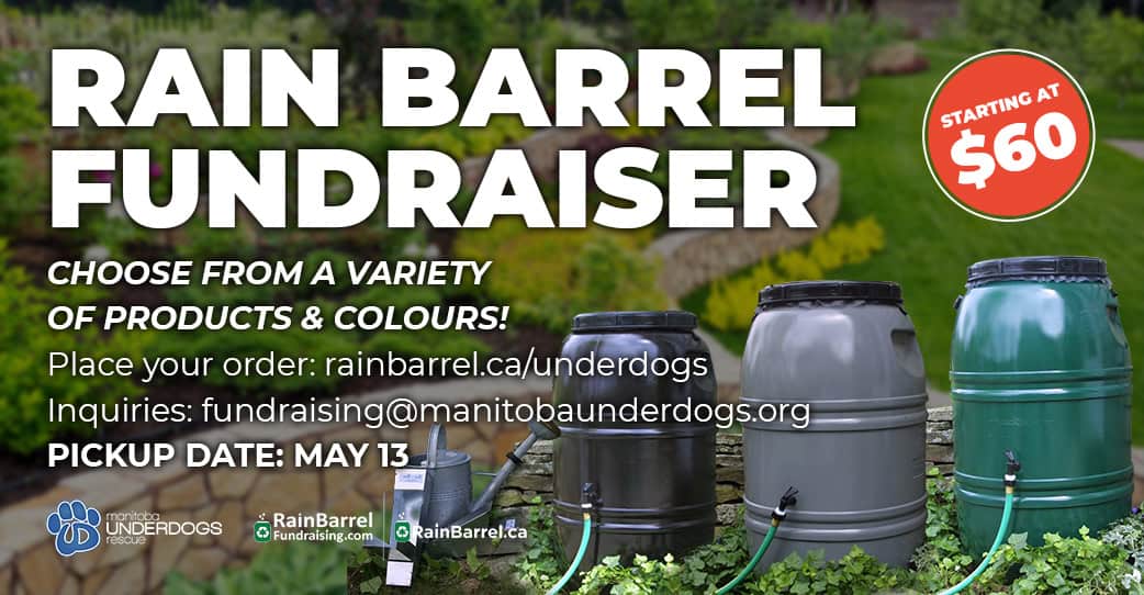 Rain Barrel Fundraiser
