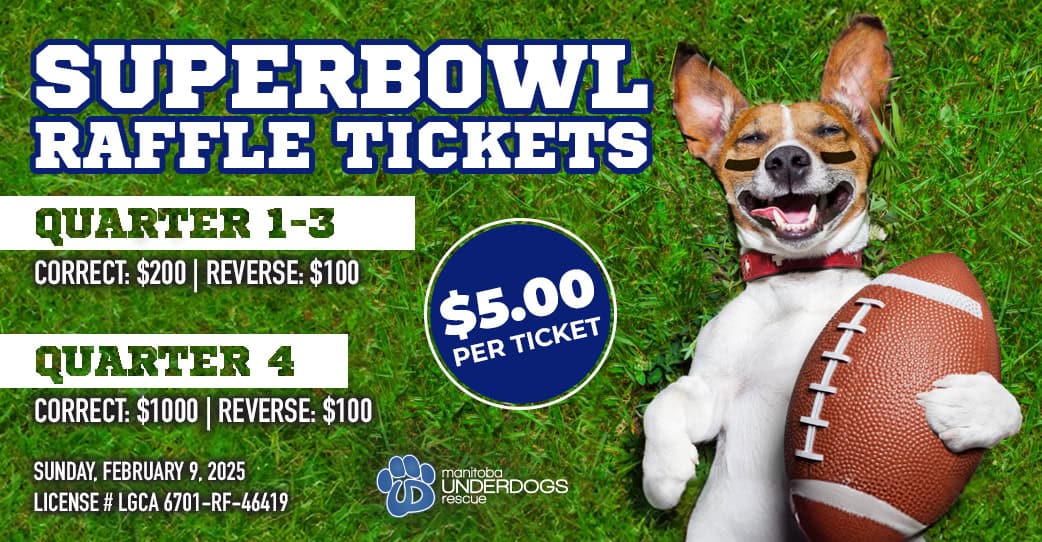 Super Bowl Raffle Tickets