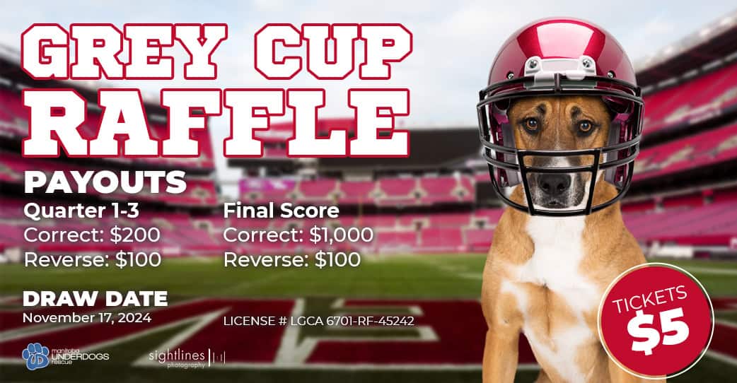 Grey Cup Raffle Tickets