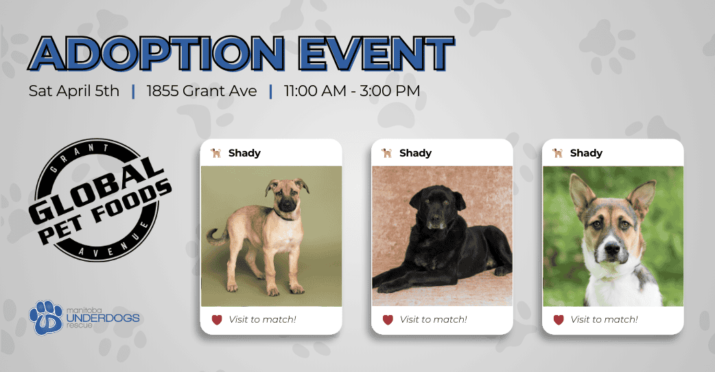 global-adoption-event