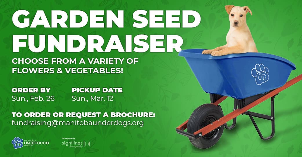 Garden-Seeds-Fundraiser