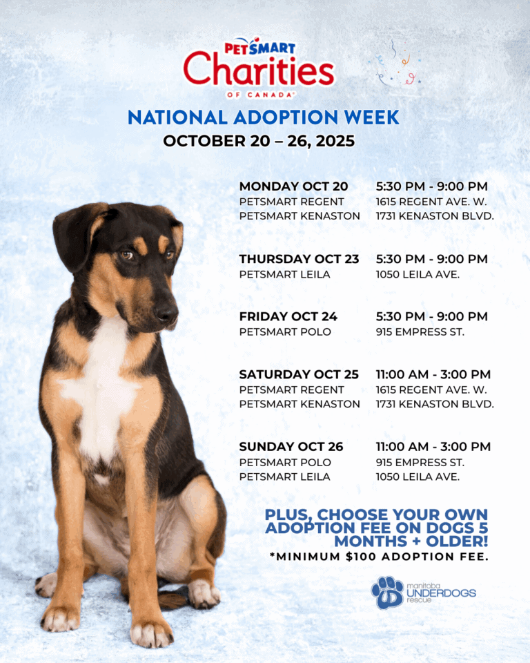 PetSmart's National Adoption Week | Manitoba Underdogs Rescue