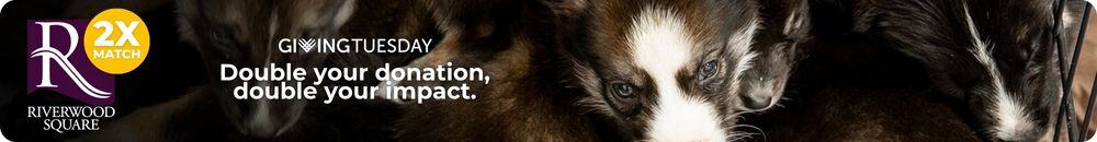 Featured image for “GivingTuesday: Your Donation will be Matched!”