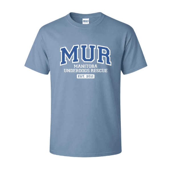 Collegiate Tee